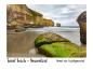 Preview: Tunnel Beach - Neuseeland: Heimat der Grünlippmuschel