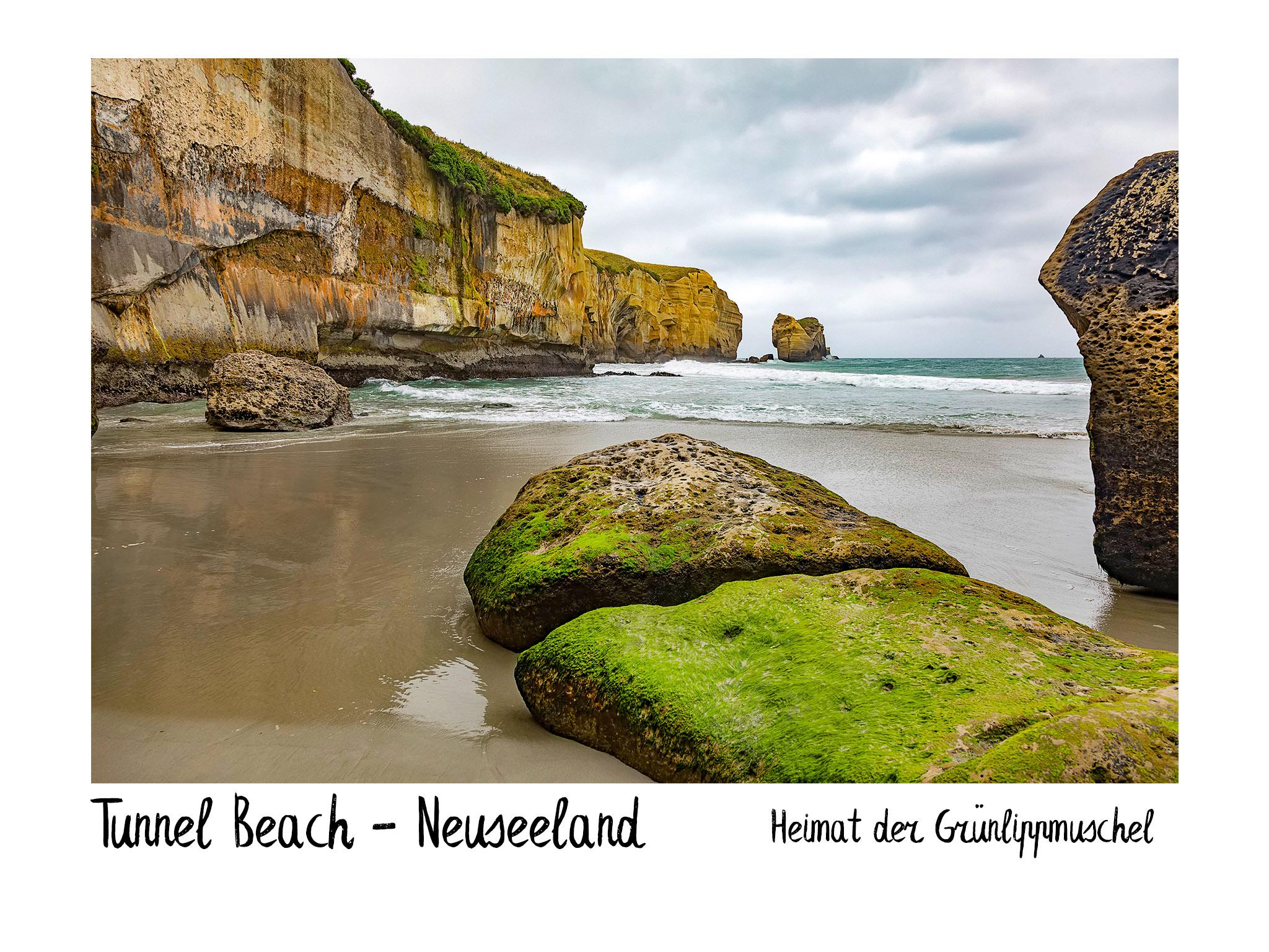 Tunnel Beach - Neuseeland: Heimat der Grünlippmuschel